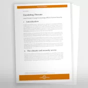 Preview policy brief